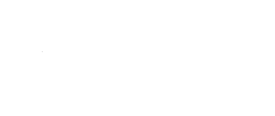 Logo Municipalidad Puerto Varas